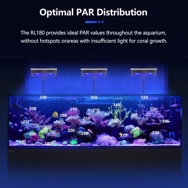 Aquarium Lamp